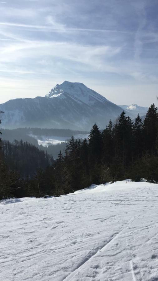 Das Landhaus Puchenstuben Esterno foto