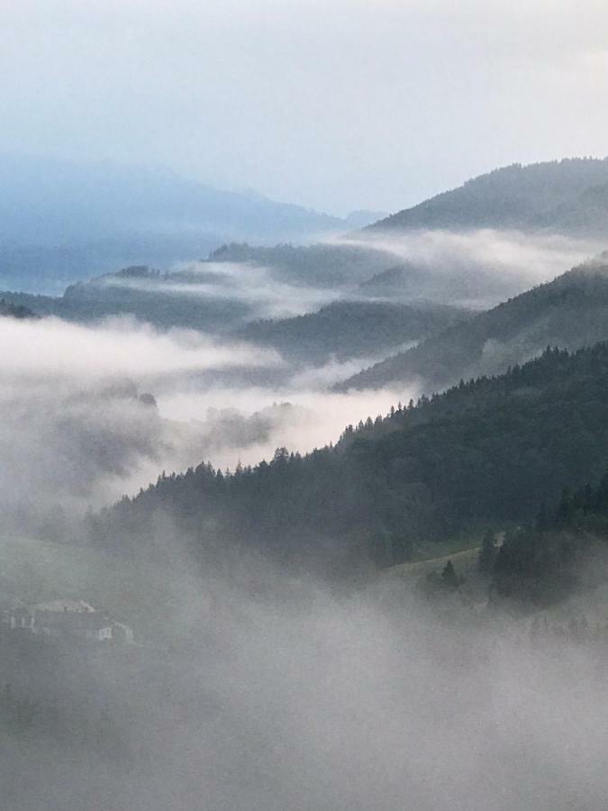 Das Landhaus Puchenstuben Esterno foto